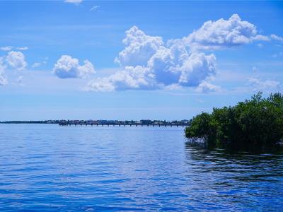 Sunset amp Dinner Cruises in Port - 159f128f9ab84fba2b4084cb37e1528a 