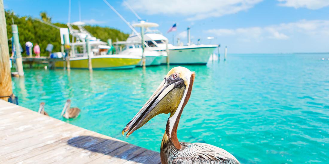 Islamorada