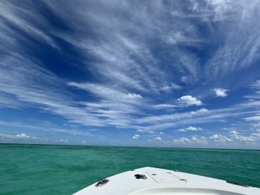 Awesome trip!  I would definitely recommend. 