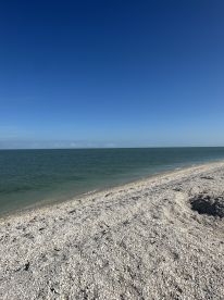 Captain Nick!!!!!!!!!