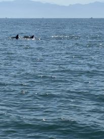 Captain Mitchell is great!