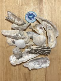 Wonderful experience!!