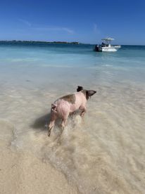 Bahamas with Captain Frank