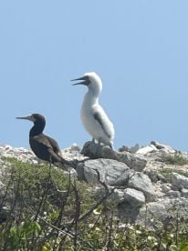 Life is short - book this boat!