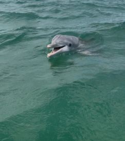 Great morning on the water!