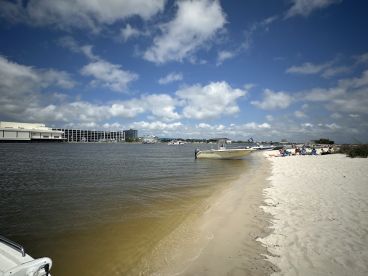 Captain Joey was great!!