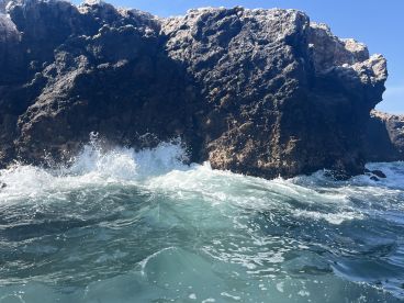 Fantastic Private Tour