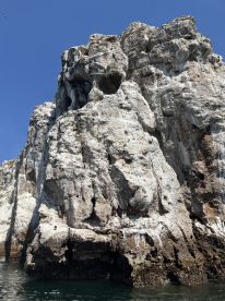 Fantastic Private Tour