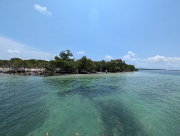 Fun Day in the Water