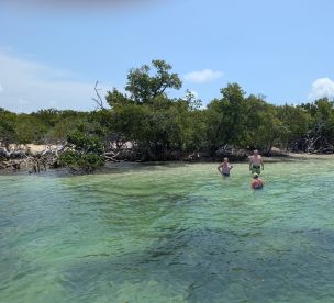 Fun Day in the Water