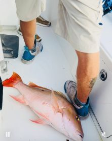 Great day with Dave!