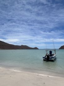 Our experience was amazing and could not have been better.