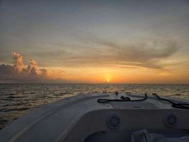 Great sunset snorkel trip
