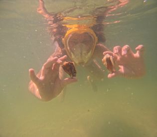 Exceeded Expectations - Shelling and Snorkel