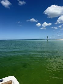 Exceeded Expectations - Shelling and Snorkel