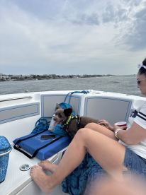 Outstanding Adventure