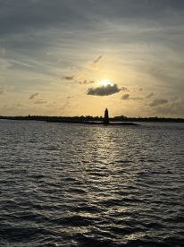 Alex is so helpful and fun!  