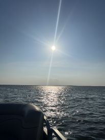 Amazing Experience and More Than Expected