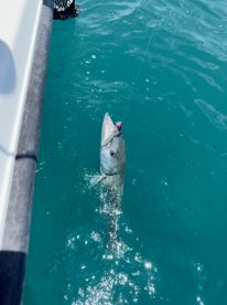 Best Experience Ever!