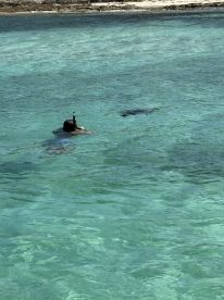 Great day out of  Nassau.  