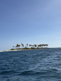 Great day out of  Nassau.  