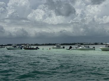 Great day at the sandbar 