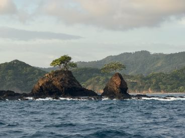 Great Family Adventure! 