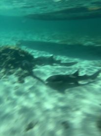 Bradley\u2019s Fishing Tours Was the absolute best 