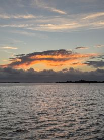 Dolphin Sunset cruise 
