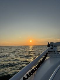 The Grateful Fred was amazing!