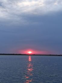 Loved this dolphin excursion!