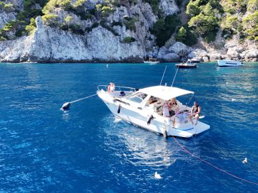 Fantastic experience 