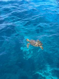 Everything was perfect!!!