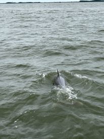 Book with Captain Dave!