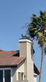Boat Tour to Shell Island