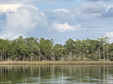 Best time cruises and definitely was a phenomenal time!!!