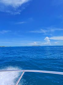 Amazing Boat Experience