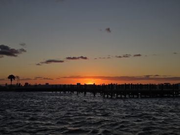 What a trip! \ud83e\udd29