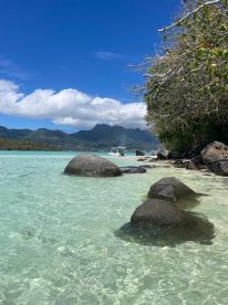 Amazing Experience with a Super Child-Friendly Crew!