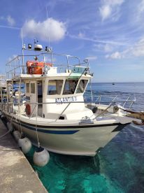 Viking family on tour