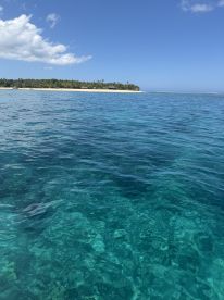 Day trip with locals Offshore