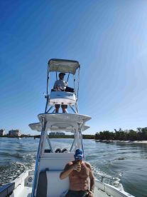 simply perfect thank you!