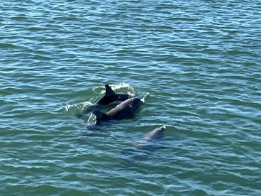 Half day trip on the Sarita