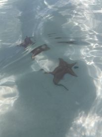 A perfect way to celebrate my 50th! 