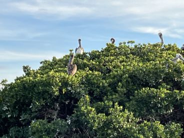 Beautiful sunset cruise - must do on Marco Island
