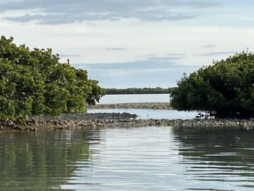 Beautiful sunset cruise - must do on Marco Island