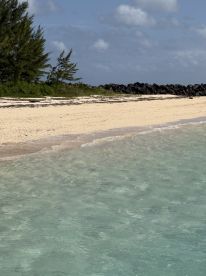 Half Day with Captain Rico