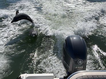 Captain Randi Rocks!