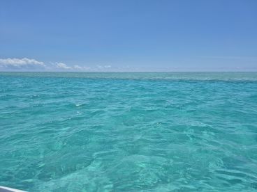 Fabulous day out with a lovely captain