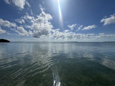 Great experience, awesome captain 